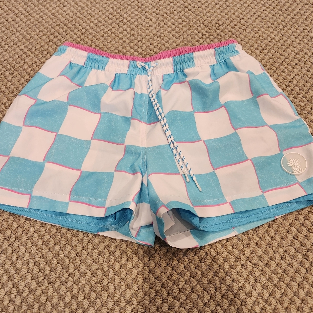 Chubbies Aqua and White Check Lined Swim Shorts Sz M 4"
